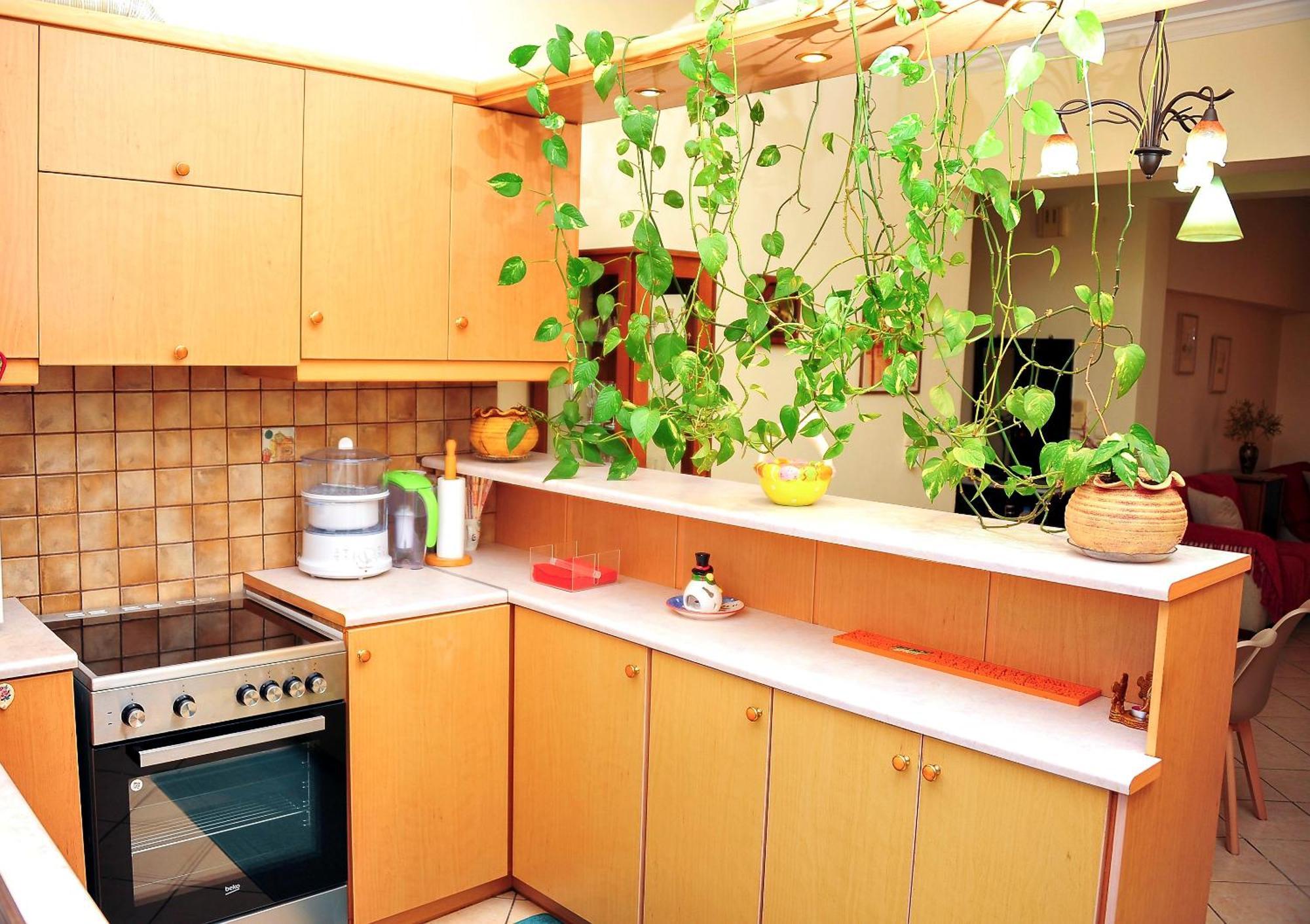 חאניה Casa Center In Chania מראה חיצוני תמונה